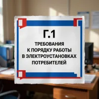 Требования к порядку работы в электроустановках потребителей Г.1